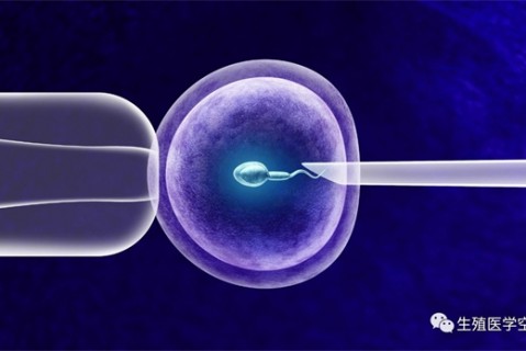 女人南昌代生孩子的最佳年龄段 一辈子生几个孩子最好